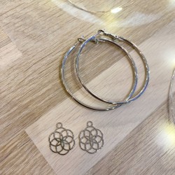 Grandes Créoles Graine de vie