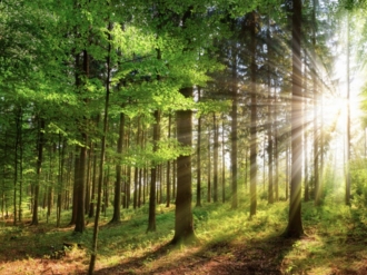 Démarche Eco responsable